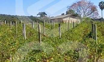 Imagem: SITIO RURAL em INDAIATUBA - SP, PARQUE DA