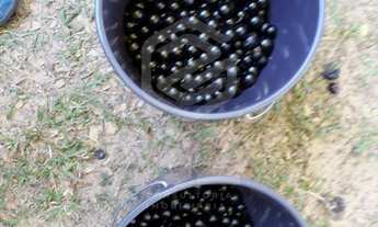 Imagem 5: CHACARA RESIDENCIAL em SALTO - SP, TERRAS DE SANTA ROSA