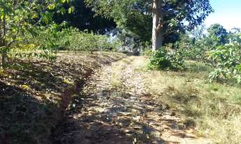 Imagem 7: SITIO RURAL em CAMPINAS - SP, JARDIM SÃO DOMINGOS