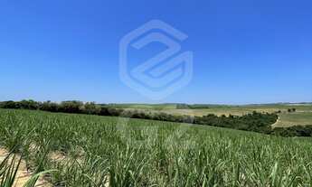 Imagem 2: Sitio a venda Interior São Paulo Elias Fausto-SP / Área Rural / Fazenda a venda