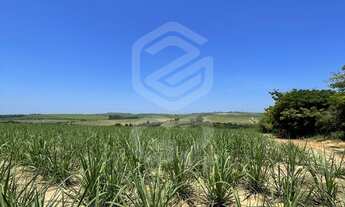 Imagem 4: Sitio a venda Interior São Paulo Elias Fausto-SP / Área Rural / Fazenda a venda