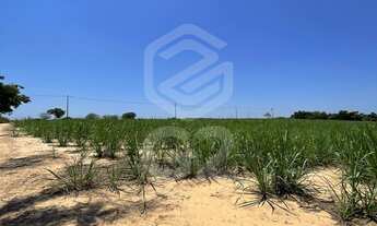 Imagem 5: Sitio a venda Interior São Paulo Elias Fausto-SP / Área Rural / Fazenda a venda
