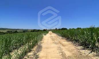Imagem 6: Sitio a venda Interior São Paulo Elias Fausto-SP / Área Rural / Fazenda a venda