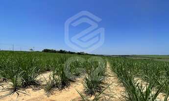 Imagem 3: Sitio a venda Interior São Paulo Elias Fausto-SP / Área Rural / Fazenda a venda