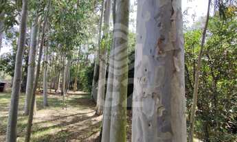 Imagem 7: SITIO RURAL em INDAIATUBA - SP, MIRIM