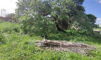 Imagem 5: TERRENO RESIDENCIAL em CAMAÇARI - BA, AREMBEPE