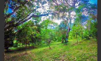 Imagem 4: LINDA CHACARA COM 2 ALQUEIRES NA ZONA RURAL DA CIDADE DE SANTA ISABEL EM EXCELENTE LOCALIZ