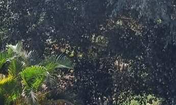 Imagem: LINDA CHÁCARA MOBILIADA, COM VISTA PARA