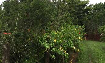 Imagem: SITIO RESIDENCIAL em MOGI DAS CRUZES - SP