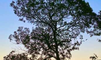 Imagem 7: Entre em contato conosco agora mesmo e agende uma visita para conhecer de perto todos os e