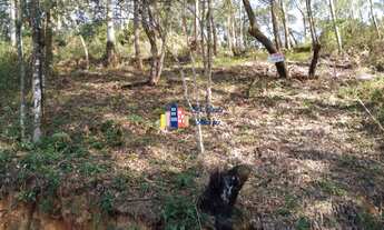 Imagem 2: ÓTIMO TERRENO EM SANTANA DE PARNAIBA SP