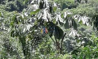Imagem 6: Lindo terreno em Santana de Parnaíba!