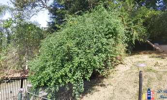 Imagem 7: Excelente Casa com Jardim, Arvores Frutíferas e Horta no Condomínio Residencial Santa Hele