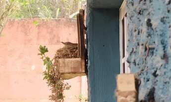 Imagem 5: EXCELENTE RESIDENCIA SANTANA DE PARNAIBA