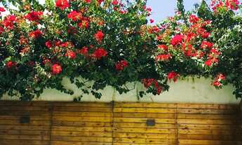 Imagem: Linda casa em Itapevi, aceita permuta por