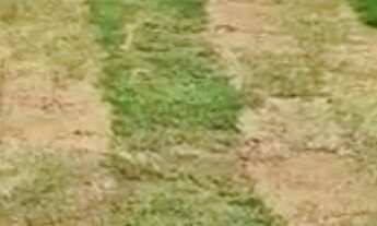 Imagem: TERRENO RESIDENCIAL em SANTANA DE PARNAÍBA