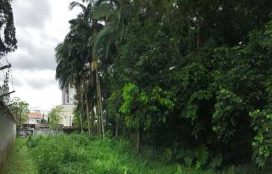 Imagem 2: TERRENO OPORTUNIDADE!, 3557M² de Área Construída na Rua Marechal Deodoro