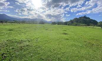 Imagem 6: Área de 16.666,25 m² com frente para a Rodovia do Arroz em Joinville - Oportunidade para G