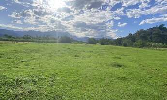 Imagem 5: Área de 16.666,25 m² com frente para a Rodovia do Arroz em Joinville - Oportunidade para G