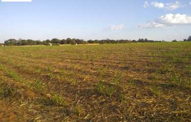 Imagem 3: SITIO RURAL em LENÇÓIS PAULISTA - SP, FAZENDA/ CHAPADÃO