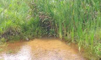 Imagem 4: SITIO RURAL em Lençóis Paulista - SP, Sítio Recanto Freitas (Farturinha