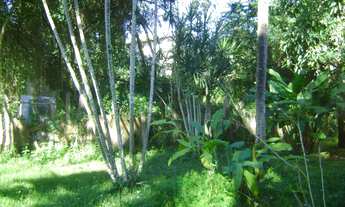 Imagem 2: SÍTIO em Lauro de Freitas - BA, Estrada do Côco