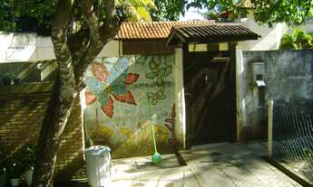 Imagem: SÍTIO em Lauro de Freitas - BA, Estrada