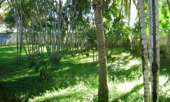 Imagem 7: SÍTIO em Lauro de Freitas - BA, Estrada do Côco
