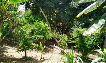 Imagem: SITIO RESIDENCIAL em Lauro de Freitas