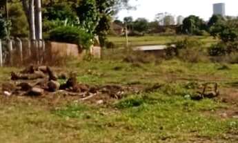Imagem: TERRENO RURAL em SÃO JOSÉ DO RIO PRETO