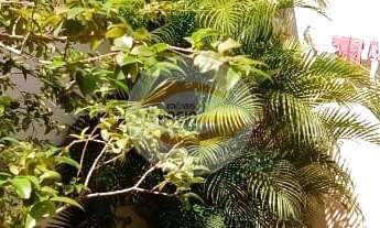 Imagem 4: CASA RESIDENCIAL em SÃO JOSÉ DO RIO PRETO - SP, RESIDENCIAL SANTA CRUZ