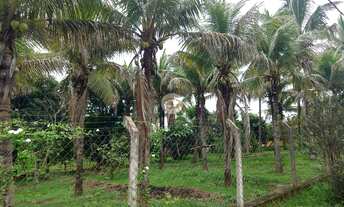 Imagem 2: CHACARA RESIDENCIAL em SÃO JOSÉ DO RIO PRETO - SP, ESTÂNCIA SÃO MANOEL (ZONA RURAL