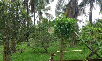 Imagem 3: CHACARA RESIDENCIAL em SÃO JOSÉ DO RIO PRETO - SP, ESTÂNCIA SÃO MANOEL (ZONA RURAL