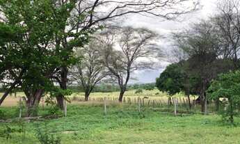 Imagem: FAZENDA RURAL em PORTEIRINHA - MG, Fazenda