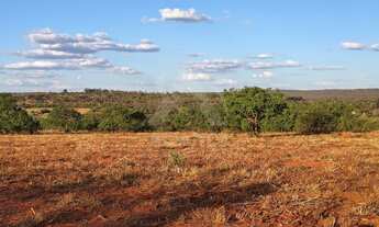 Imagem 6: Chácara à venda em Montes Claros-MG, no bairro Chácara Recanto do Riachão, com 1.000,00 m²