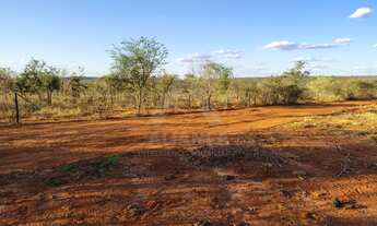 Imagem 5: Chácara à venda em Montes Claros-MG, no bairro Chácara Recanto do Riachão, com 1.000,00 m²