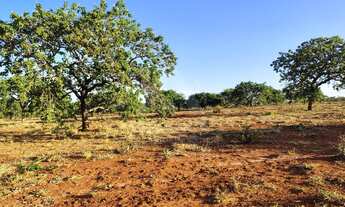 Imagem 2: Chácara à venda em Montes Claros-MG, no bairro Chácara Recanto do Riachão, com 1.000,00 m²