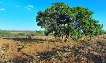 Imagem 4: Chácara à venda em Montes Claros-MG, no bairro Chácara Recanto do Riachão, com 1.000,00 m²