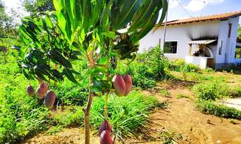 Imagem 7: SITIO RURAL em Montes claros - MG, Fazenda Pacuí