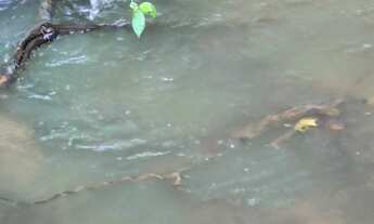 Imagem 5: SITIO RURAL em Montes claros - MG, Fazenda Pacuí