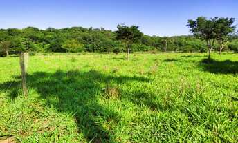 Imagem 2: SITIO RURAL em Montes claros - MG, Fazenda Pacuí