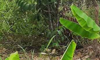 Imagem 2: CHACARA RURAL em Montes claros - MG, Jardim Europa