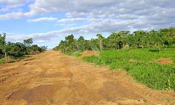 Imagem 6: Chácara à venda em Montes Claros-MG, no bairro Recanto dos Pássaros: oportunidade única na