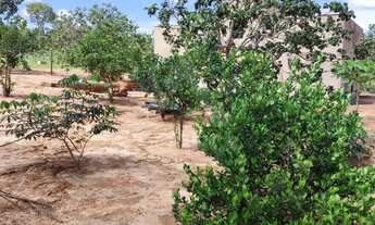 Imagem 4: Sítio à venda em Montes Claros-MG 2 quartos, 1 sala, 1 banheiro, 10 vagas de garagem 20