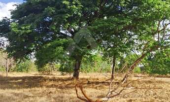 Imagem 3: Chácreamento Vale dos Jatobás ? R$ 17.000,00 Excelente oportunidade. Chegou a hora de vo