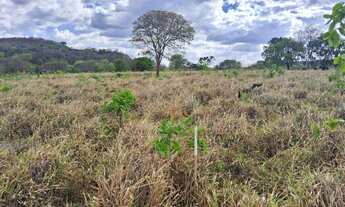 Imagem: Chácara à venda em Montes Claros-MG, Bairro