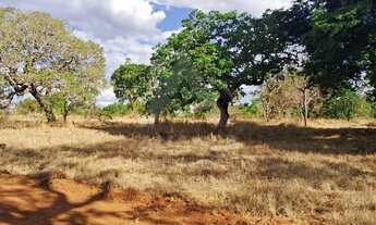 Imagem 7: Chácreamento Vale dos Jatobás ? R$ 17.000,00 Excelente oportunidade. Chegou a hora de vo