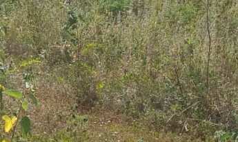 Imagem: TERRENO RESIDENCIAL em Montes Claros - MG