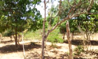 Imagem 4: CHACARA RURAL em Montes Claros - MG, Chácaras recanto dos pequizeiros