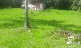 Imagem: TERRENO RURAL em ILHA COMPRIDA - SP, Balneário